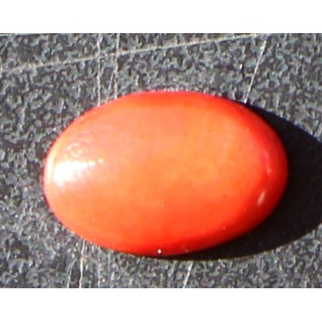 2.5 Carat 100% Natural Coral Gemstone Ocean Sea Product No 0131