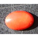 2.5 Carat 100% Natural Coral Gemstone Ocean Sea Product No 0137