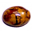 Jasper 12.5  CT Gemstone Afghanistan 0040