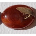 48 Carat 100% Natural Agate Gemstone Afghanistan Product No 188