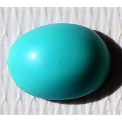 2 Carat 100% Natural Turquoise Gemstone Afghanistan Product No 105