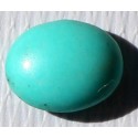 2.5 Carat 100% Natural Turquoise Gemstone Afghanistan Product No 128