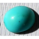 2 Carat 100% Natural Turquoise Gemstone Afghanistan Product No 132