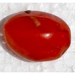 17 Carat 100% Natural Agate Gemstone Afghanistan Product No 232