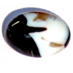 11.5 Carat 100% Natural Agate Gemstone Afghanistan Product No 257