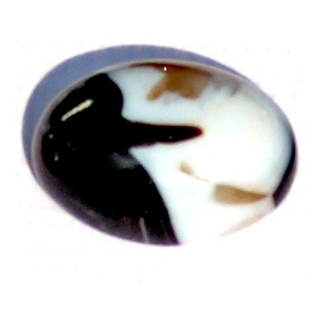 11.5 Carat 100% Natural Agate Gemstone Afghanistan Product No 257