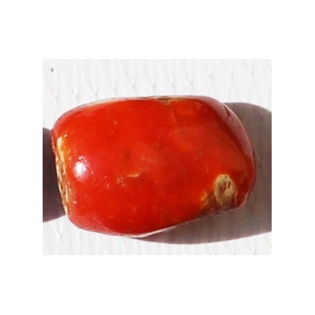 5.5 Carat 100% Natural Coral Gemstone Ocean Sea  Ref: Product No 013