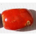 5.5 Carat 100% Natural Coral Gemstone Ocean Sea  Ref: Product No 013