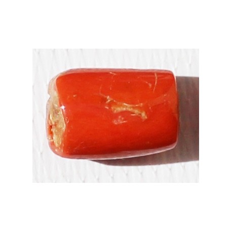 5.5 Carat 100% Natural Coral Gemstone Ocean Sea  Ref: Product No 014