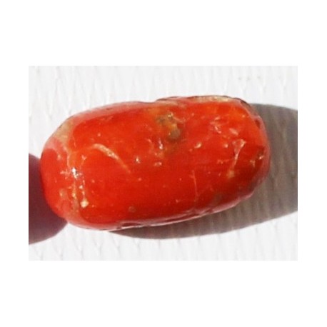 6.5 Carat 100% Natural Coral Gemstone Ocean Sea  Ref: Product No 016