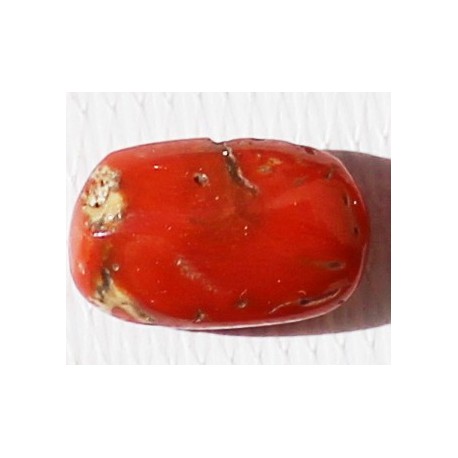 6.5 Carat 100% Natural Coral Gemstone Ocean Sea  Ref: Product No 017