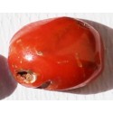 7 Carat 100% Natural Coral Gemstone Ocean Sea  Ref: Product No 018