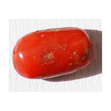 8 Carat 100% Natural Coral Gemstone Ocean Sea  Ref: Product No 022