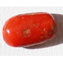 8 Carat 100% Natural Coral Gemstone Ocean Sea  Ref: Product No 022